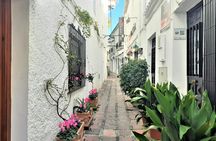 Small-group walking tour of Marbella