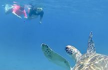 Full-day hiking and snorkeling with turtles tour in São Pedro