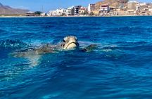 Full-day hiking and snorkeling with turtles tour in São Pedro