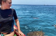 Full-day hiking and snorkeling with turtles tour in São Pedro