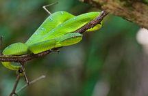 Bako National Park day tour from Kuching