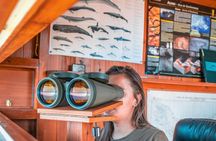 Guided tour to discover the heritage of the Azorean whalers