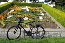 Golden gate park bike rental
