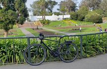 Golden gate park bike rental