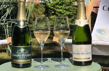 Historical and artistic visit of the cellars of the Canard Duchêne House