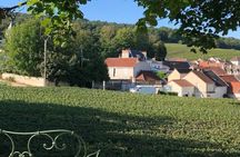 Historical and artistic visit of the cellars of the Canard Duchêne House