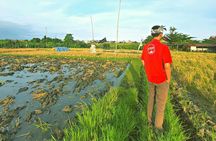 Bali's hidden rice terraces trek experience