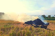 Bali's hidden rice terraces trek experience