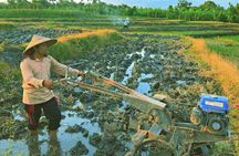 Bali's hidden rice terraces trek experience