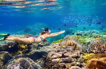 Sail and snorkel catamaran tour in Nassau