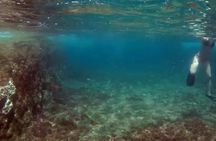 Full-day watching tour with lunch and snorkeling at the Princess Ring