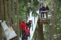 Tree trek guided tour in Whistler