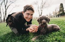 Truffle Hunting with lunch in Barberino Tavarnelle