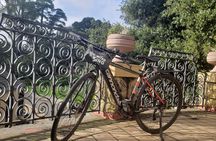 Highlights of Golden Gate Park guided bike tour