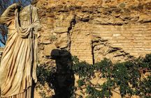 Colosseum Semi-Private Tour with Roman Forum and Palatine Hill