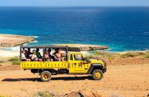 Aruba half-day private off-road tour