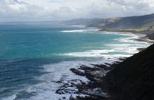 Great Ocean road bus tour with many stops and a forest walk