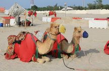Shared Desert safari with Inland Sea Visit from Doha