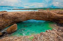 Aruba sightseeing bus tour