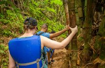 El Yunque Rainforest nature hikes with a local full-day tour