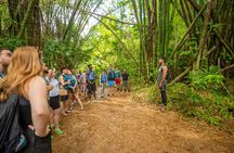El Yunque Rainforest nature hikes with a local full-day tour