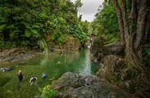 El Yunque Rainforest nature hikes with a local full-day tour