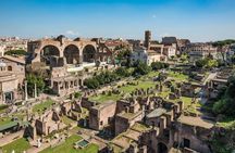 Colosseum Semi-Private Tour with Arena Floor, Forum and Palatine Hill