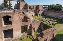 Colosseum Semi-Private Tour with Arena Floor, Forum and Palatine Hill