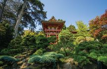 San Francisco 1-Day Hop-On Hop-Off City Tour