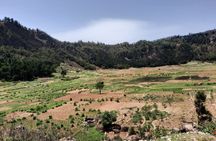Guided hike from Cova volcano crater to the Green Valley of Paul in Santo Antão