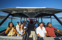 Thundercat Whitsundays day tour with lunch