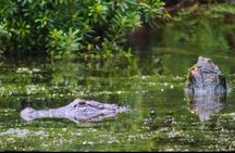 Airboat ride through the New Orleans wetlands