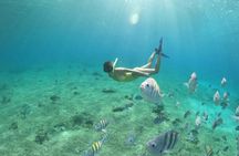 Clear boat ride and snorkel in Cozumel