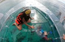 Clear boat ride and snorkel in Cozumel