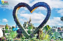 Miracle and Butterfly Garden with transfers