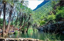 Valley Paradise half-day guided tour from Agadir