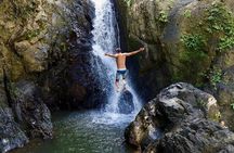 El Yunque Rainforest nature hikes with a local full-day tour