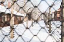 Auschwitz-Birkenau guided tour and pickup from Krakow