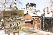 Auschwitz-Birkenau and Wieliczka Salt Mine plus lunch from Krakow