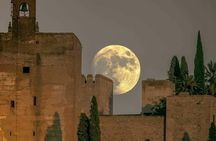Alhambra and Generalife private tour