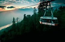 North Shore Mountain tour with Capilano Suspension Bridge