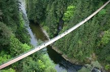 North Shore Mountain tour with Capilano Suspension Bridge