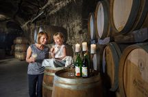 Vienna e-bike tour with wine tasting