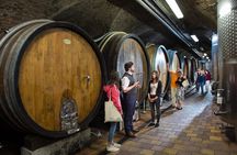 Vienna e-bike tour with wine tasting