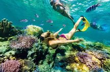Bali private 3-day highlights tour