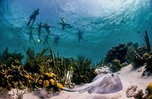 Seacow double dip snorkeling tour in Bonaire
