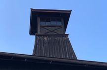 Takayama walking guided tour with optional visit to Hida village