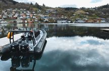 Hardangerfjord and Fyksesund fjord safari from Norheimsund