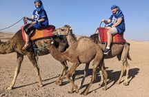 Agafay desert camel ride