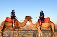Agafay desert camel ride